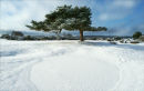Frozen over
